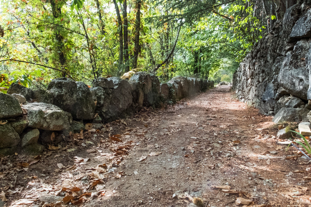 Les petits chemins d&rsquo;OI 47
