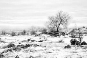 Histoires d&rsquo;Hiver – Dominik Garcia (Objectif Image Nice)