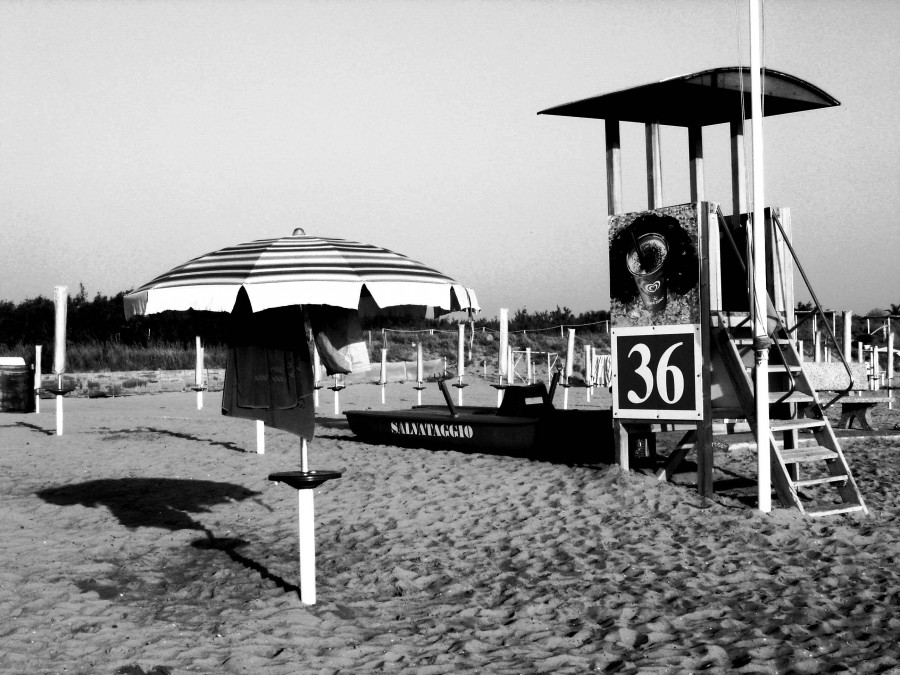 Solitude – Michel Fontaine (OI Montpellier)