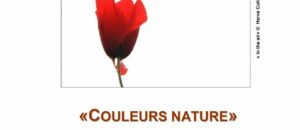 Couleurs nature – Objectif Image Montpellier