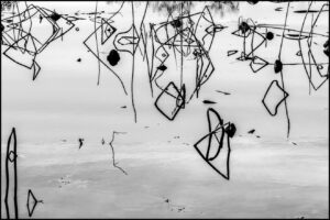 Écrire avec la Lumière – Michelle Musard – Objectif Image Nice