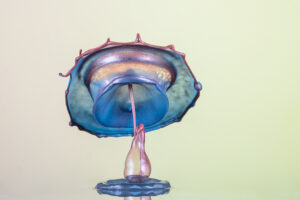 « L’éternité d’un instant » par Hélène Caillaud  (Objectif Image Montpellier)