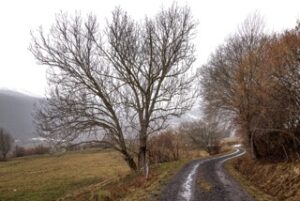 Mai de la Photo- Villeneuve sur Lot – SÉRIES D’AUTEURS