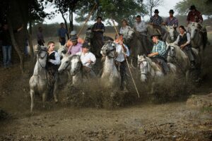 42ème Salon National Individuel d&rsquo;Objectif Image