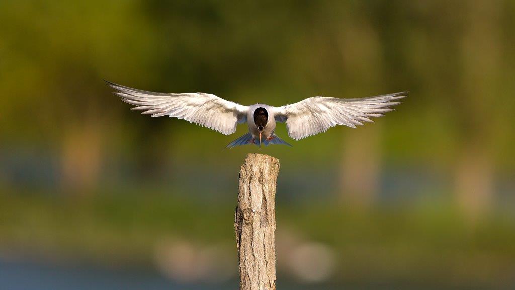 42ème Salon National Individuel – Couleurs