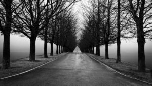 SOLITUDE – Objectif Image Alaric (11)