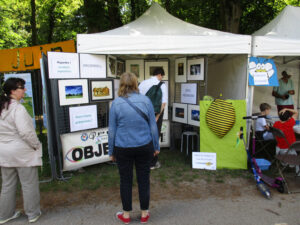 Butinage le long du canal – Objectif Image 51