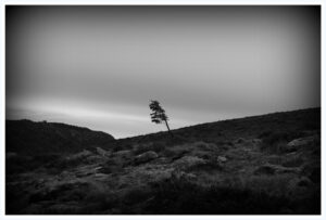 La Solitude – Objectif Image Montpellier