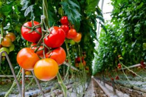 Exposition à St-Brieuc (22)