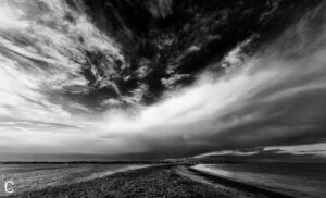 Un autre sillon – Projet de livre