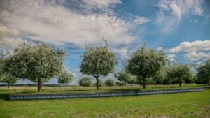 « Mon village s’expose» 	– Regard sur LE VIEIL EVREUX