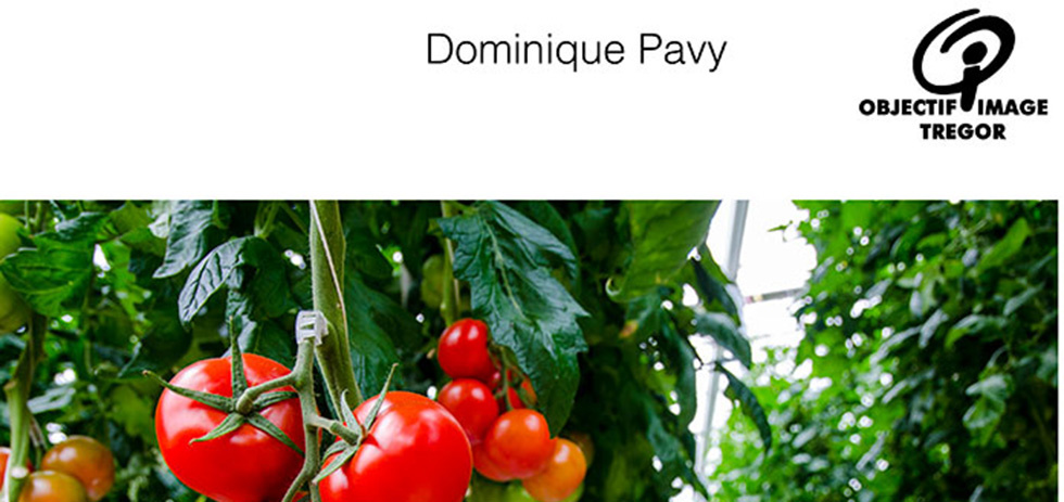 Exposition à St-Brieuc (22)