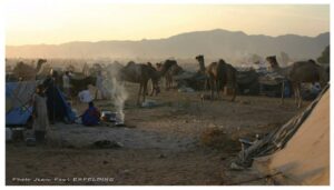 Festival Voyages Découvertes – Le Mans