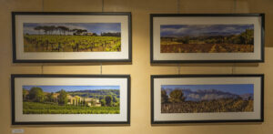 Autour du vin – Objectif Image Nîmes