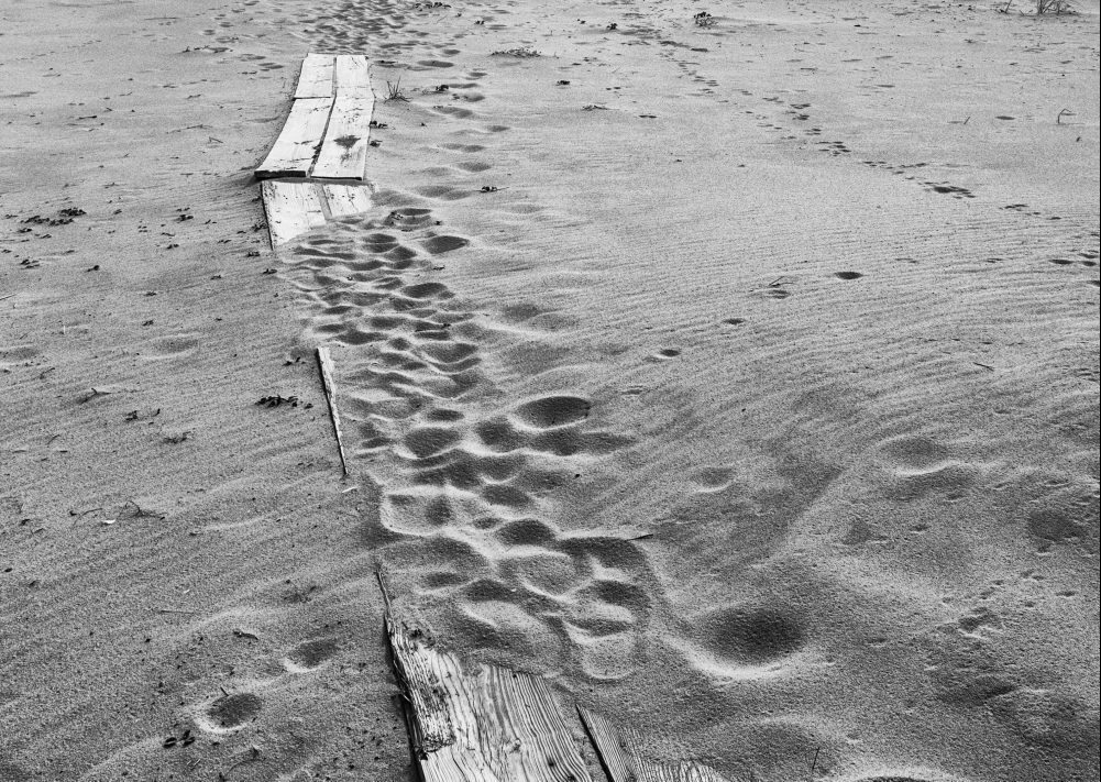 Sables émouvants – Michel FABRE  (Objectif Image 33)