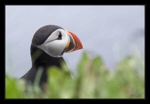 « 64-66° Nord » – Bernard PERROT