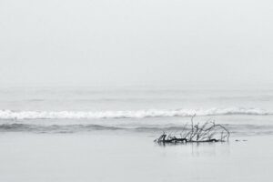 « Minimalisme » – Haude Carsin Objectif Image St Brieuc