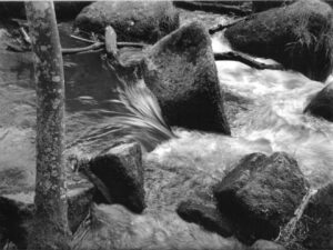 Gérard Renoncé – Rétrospective