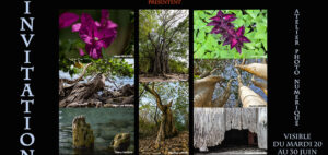 Cuvée 2017 en Martinique