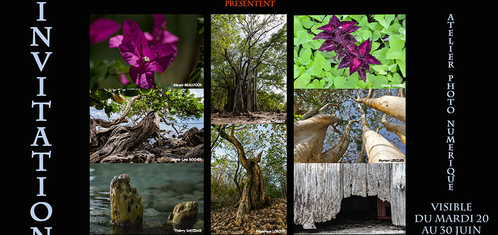 Cuvée 2017 en Martinique