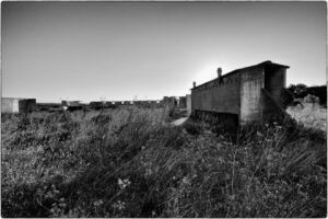 Le Camp de Rivesaltes – Lionel Modolo