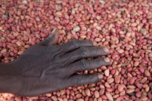 Les mains – Daniel BIEYSSE Objectif Image Montpellier