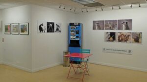 Portraits animaliers – Objectif Image St Brieuc