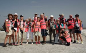 Carte postale de Nîmes