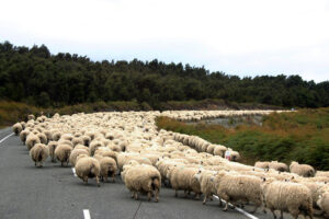 VOYAGES DÉCOUVERTES Fête ses 20 ANS