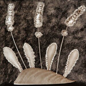 Métamorphoses végétales – Jean-François BAULON