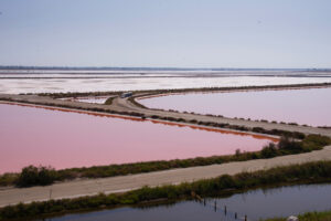 Rencontres Photographiques Cruviers-Lascours