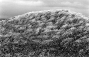 Paysages silencieux – Yves GLORION