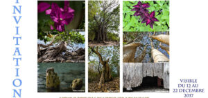 Exposition à la Martinique (97)