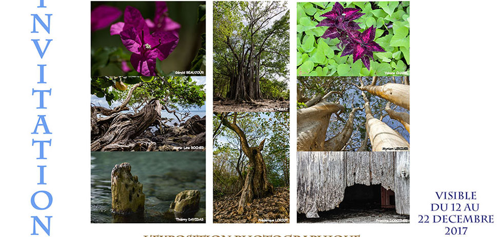 Exposition à la Martinique (97)