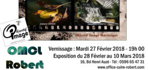 Exposition à la Martinique