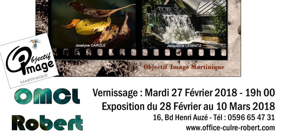 Exposition à la Martinique