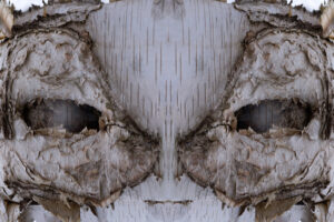 Sur la route de vos vacances : PLEUMEUR BODOU