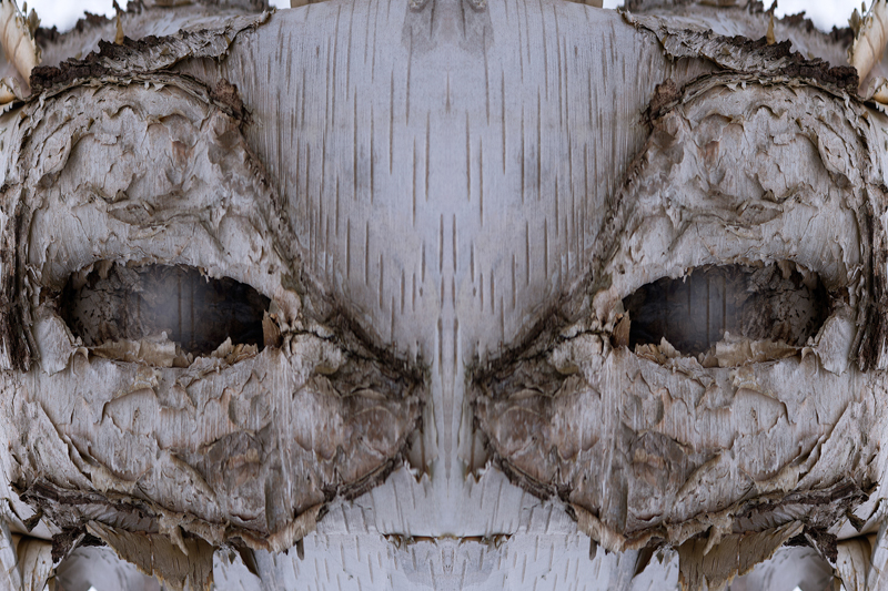 Sur la route de vos vacances : PLEUMEUR BODOU