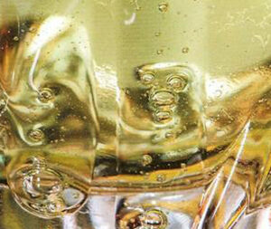 Sur la route de vos vacances : SAINT BRIEUC