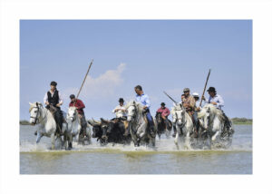 La Camargue vue du ciel – Alain Colombaud