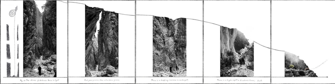 Liberté – Célia Purata – OI Montpellier