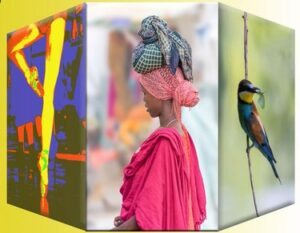 35ème Salon – Objectif Image Nîmes