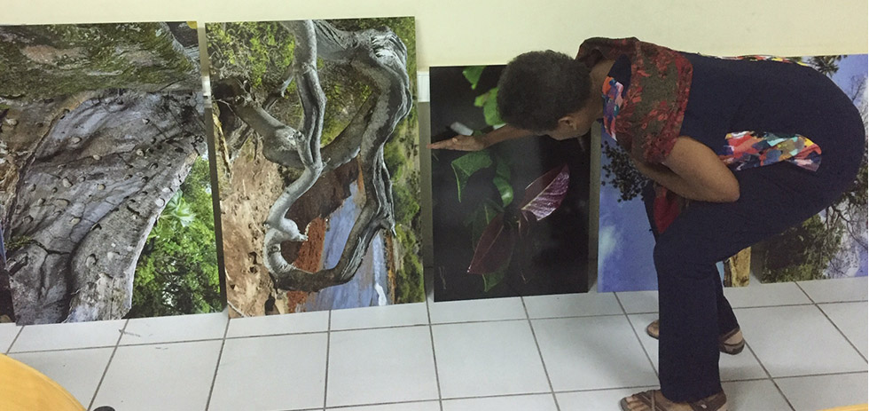 Quand l&rsquo;arbre s&rsquo;exprime