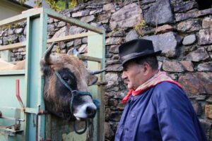 à la campagne – Jean-Paul Erpelding