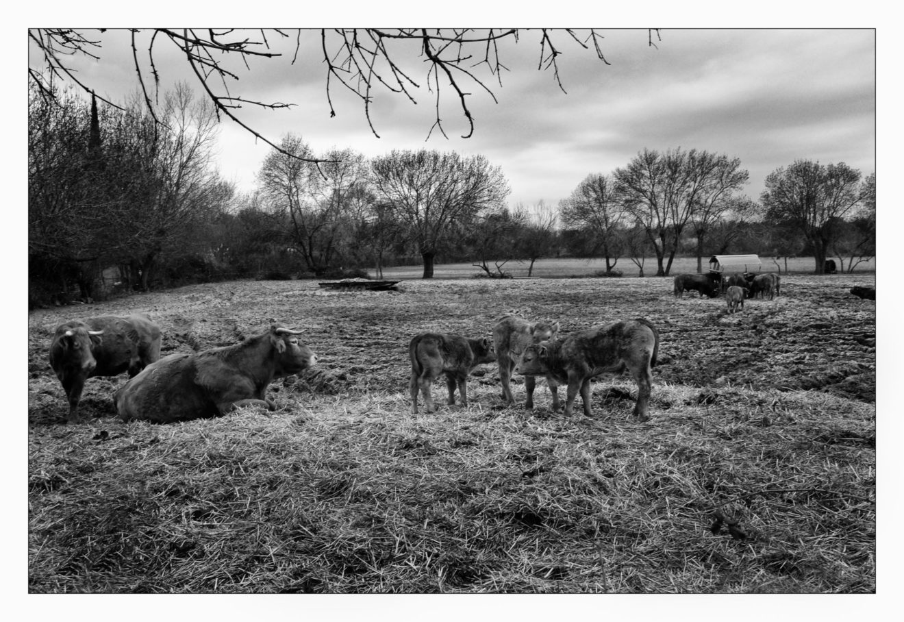 à la campagne – Pierre Soyer
