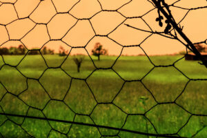 à la campagne – Ghislaine Chapeau