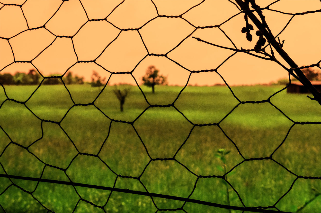 à la campagne – Ghislaine Chapeau