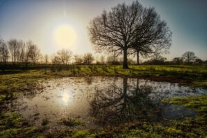 à la campagne – Michaël Cambou