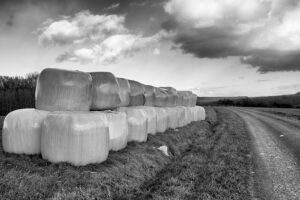 à la campagne – Annie Duclos