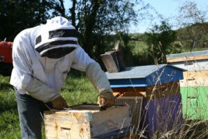 à la campagne – Joelle Penalba